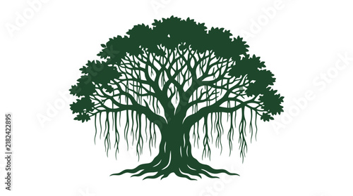 Detailed banyan tree silhouette with roots and dense leaves.