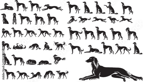 Saluki Dog Silhouette Set Premium Purebred Sighthound Black Vector Icons Collection