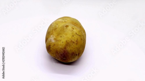 Raw yellow potato on white background. Single organic potato tuber, fresh vegetable for cooking, isolated whole potato root crop.