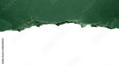 Dark green torn paper border creates a textured frame against a transparent background.
