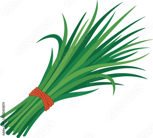 Illustrated Bunch of Fresh Green Chives