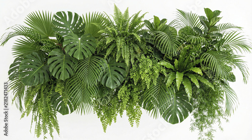 Tropical green wall background with lush monstera and palm leaves on white