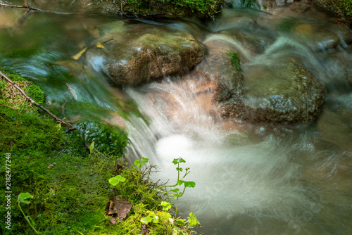 Foto Fast-flowing forest stream with blurred water effect