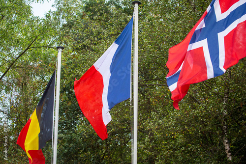 Naklejka Flags of Belgium, France and Norway Flying Together on Flagpoles Against Green Trees in Europe