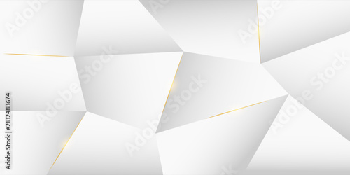 Modern abstract background, Polygon elegant gradient grey background, for presentation business banner or web background, vector