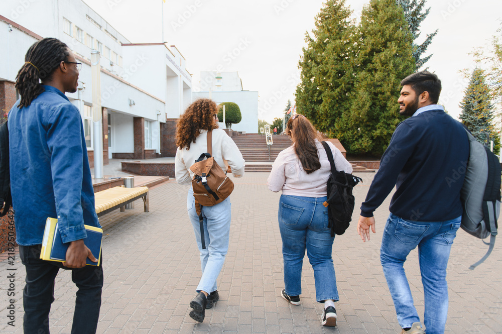 Fototapeta premium Diverse students walking on university campus, friendship developing
