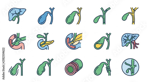 Set of human gallbladder and biliary system medical line vector icons.