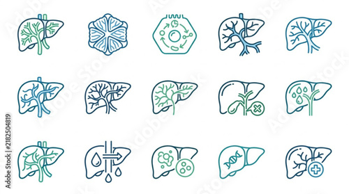 Human Liver Anatomy and Function Line Icon Set.