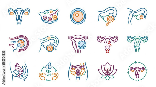 Female Reproductive System Anatomy and Health Line Icons Set.