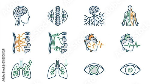 Set of human anatomy and neurology icons with hand drawn sketch style.