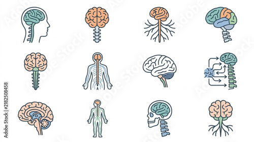 Set of human brain and nervous system icons and symbols.