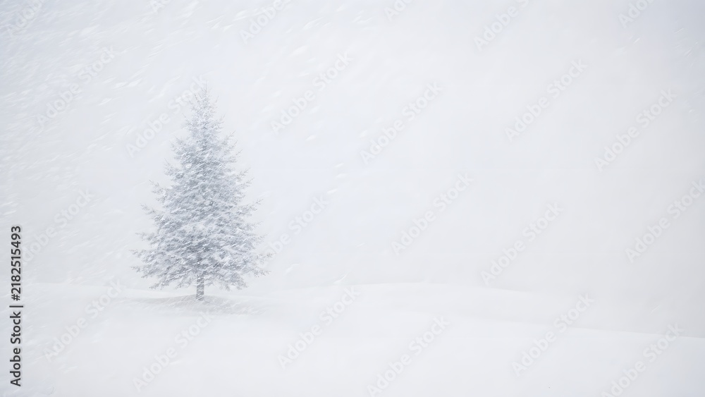 Fototapeta premium Minimalist Shot of a Single Pine Tree Barely Visible in a White Out Blizzard