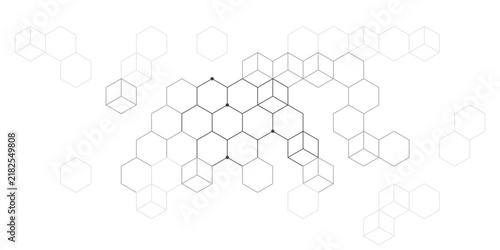 Minimal honeycomb black and white vector background with light hexagon outlines.