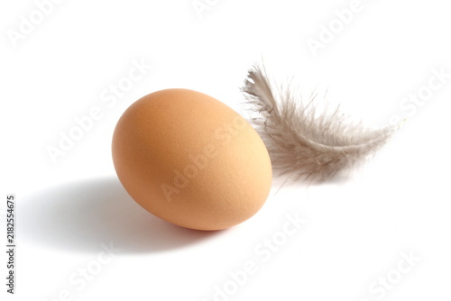 On a white background lies one egg with a chicken feather.