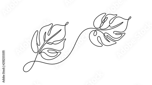 Continuous single line drawing of two tropical monstera leaves with monstera minimalist continuous tropical botanical
