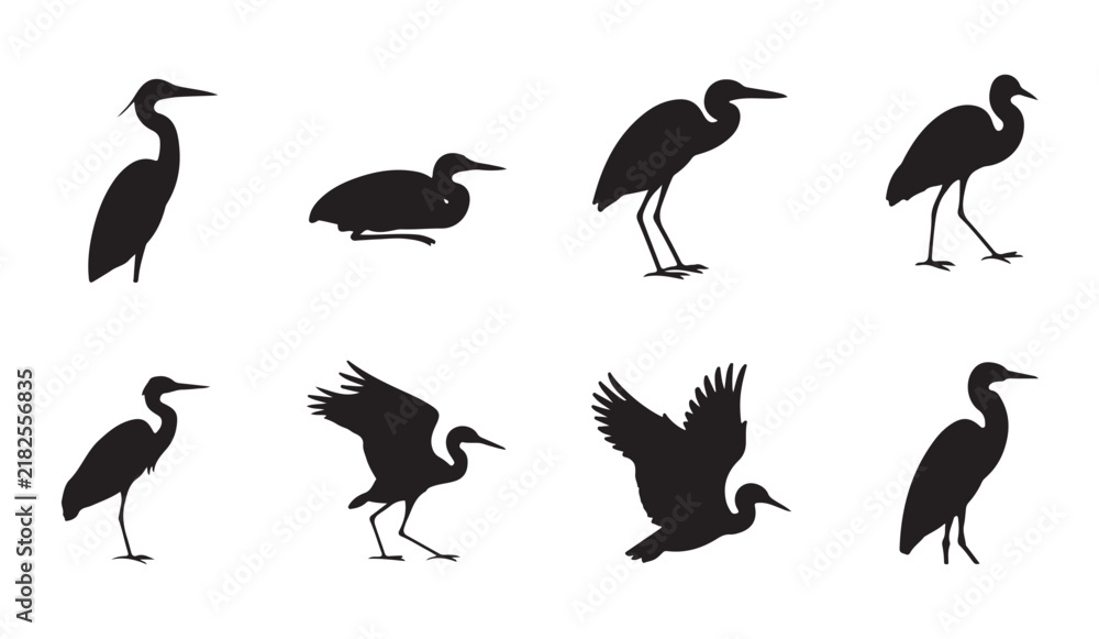 Fototapeta premium Heron and egret silhouettes collection presenting graceful long necked water birds in standing and flying poses.