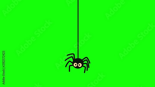 Animated black spider with big eyes hanging on a thread, isolated on chroma key green background.
