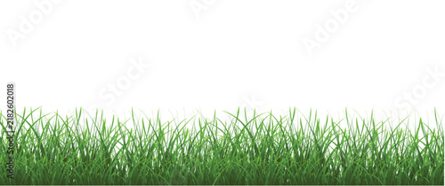 green grass isolated on white background