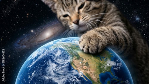 Cat Reaching Out to Touch Planet Earth in Cosmic Background with Stars and Galaxies