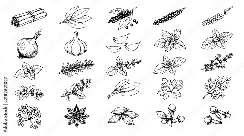 Obraz premium Aromatic Kitchen Herbs and Cooking Spices Hand Drawn Line Art Icon Collection Featuring Garlic Cinnamon Rosemary Basil and Star Anise Outlines for Culinary Designs