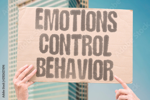 Obraz na plátně "Emotions control behavior" Affective states override rational deliberation in real-time decisions