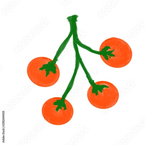 Illustration of four vibrant Orange-red tomatoes.