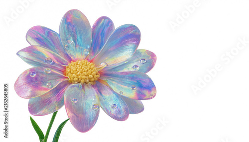 Iridescent holographic glass daisy flower with shiny water droplets isolated on clean white background spring beauty concept