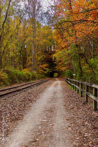 Autumn scene near a train track with a tunnel and colorful trees