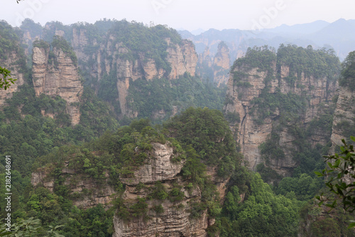 Фотография Quartz-sandstone pillars with resilient, ancient trees at Huangshizhai (Yellow S
