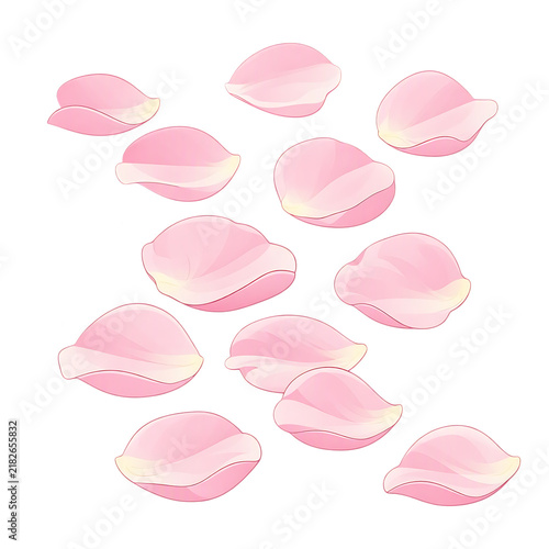 Delicate Pink Rose Petals on White Background