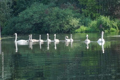Kajaktour in Berlin auf der Havel und durch Kleinvenedig