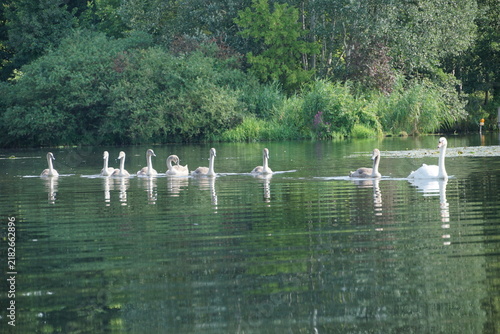 Kajaktour in Berlin auf der Havel und durch Kleinvenedig