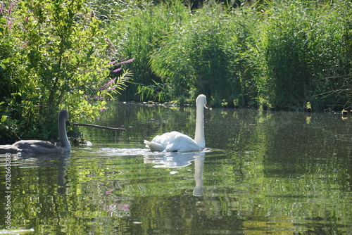Kajaktour in Berlin auf der Havel und durch Kleinvenedig