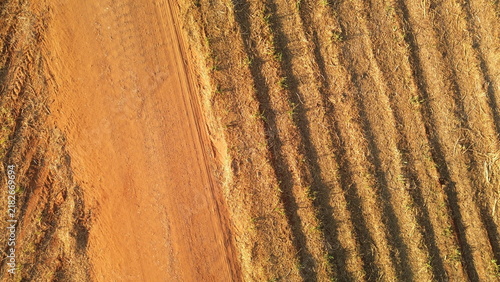 Aerial view of rural dirt road crossing a freshly harvested sugarcane field in Brazil at golden hour