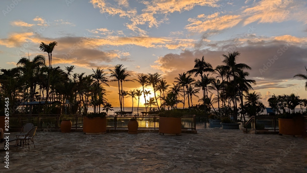 Fototapeta premium sunset at the beach