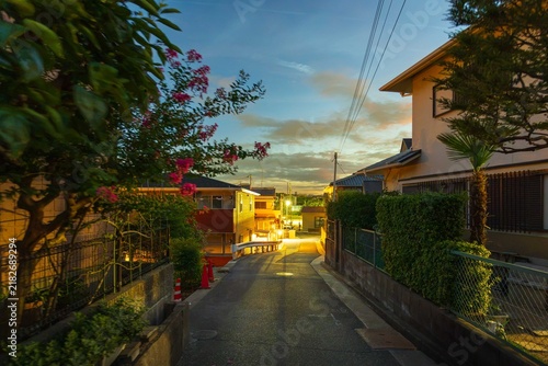 Red flowers and orange glow from house lights on quiet residential street at dawn
