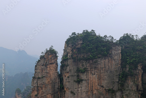 Fotografía Foggy view of quartz-sandstone pillars with resilient, ancient trees at Huangshi