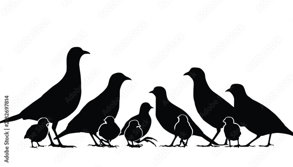 Fototapeta premium Pheasants and chicks stand together in a family group silhouette design isolated on a clean white background suitable for creative projects.