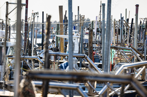 Bild auf Leinwand Fishing boats filling harbor in Goro, Emilia-Romagna, Italy