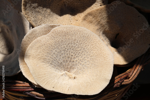 The Greek island of Symi is famous for the fishing and sale of sea sponges used in showers.