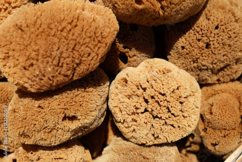 The Greek island of Symi is famous for the fishing and sale of sea sponges used in showers.