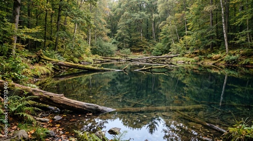 Clear forest lake with fallen logs and autumn reflections