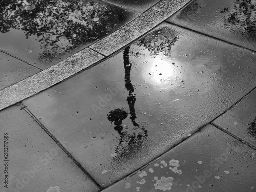 Reflection of Lamp Post in Puddle on Paved Sidewalk