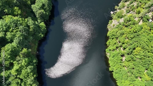 Drone Shot at Vyhlídka Máj in Central Bohemia, Czechia. Vltava River with Sparkling Sunlight Glinting on Water and Lush Green Summer Forest.
