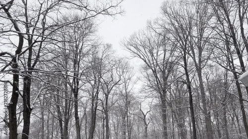 looking through window at snow falling on backyard and cars in February in New Jersey