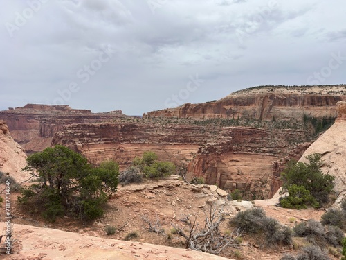 canyonlands national park on overcast day