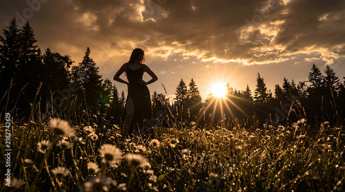 A graceful woman stands in a sunlit meadow surrounded by wildflowers, her silhouette glowing under golden rays. The warm light and dynamic sky evoke freedom, nature, and serenity.