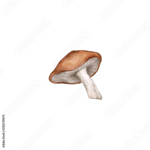 Single Watercolor Mushroom Illustration, Hand Painted Woodland Fungi