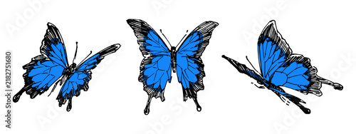 BUTTERFLY ORGANINC GRUNGE ILLUSTRATION STOCK
