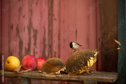 Canvastavla Small bird perched on a dried sunflower head with apples on a rustic wooden benc